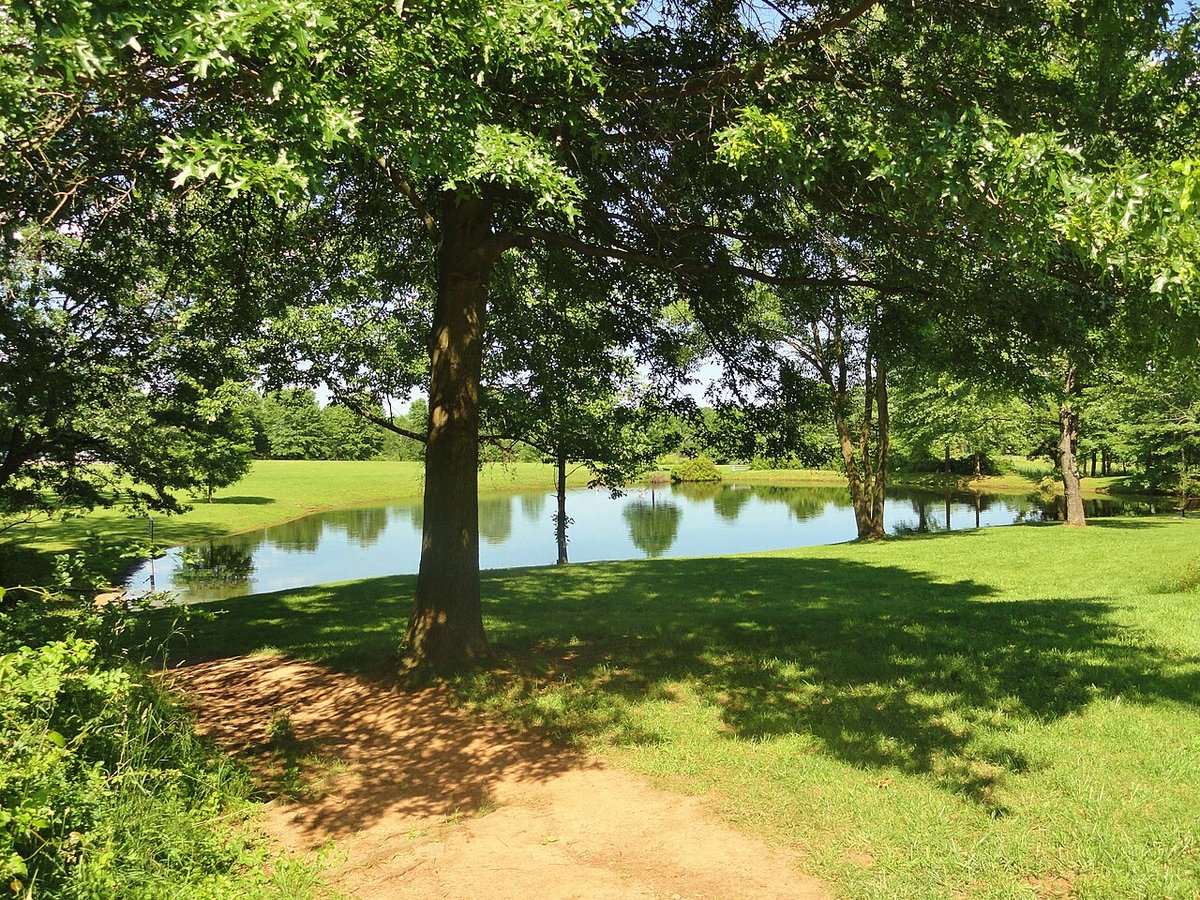 Hillsborough, NJ - Dosiero:The Sourland Mountain Preserve, Hillsborough, New Jersey, USA June  2012